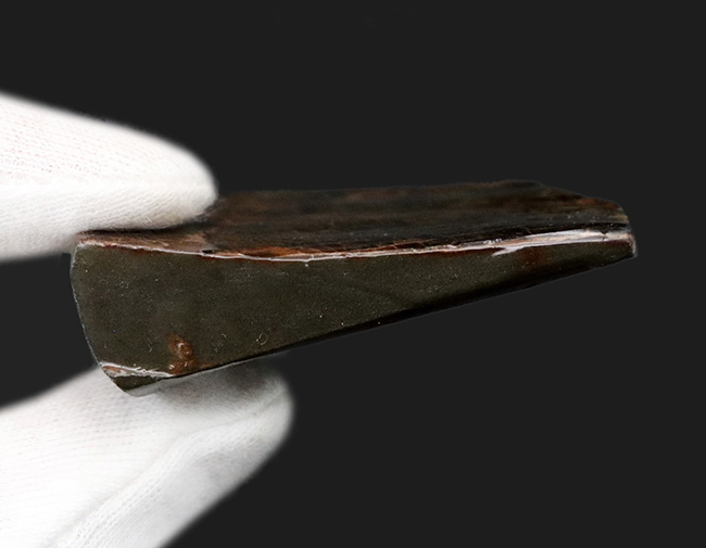 グリーンの鱗状の模様を持つ、美しき宝石、アンモライト(Ammolite)のピース(その6)