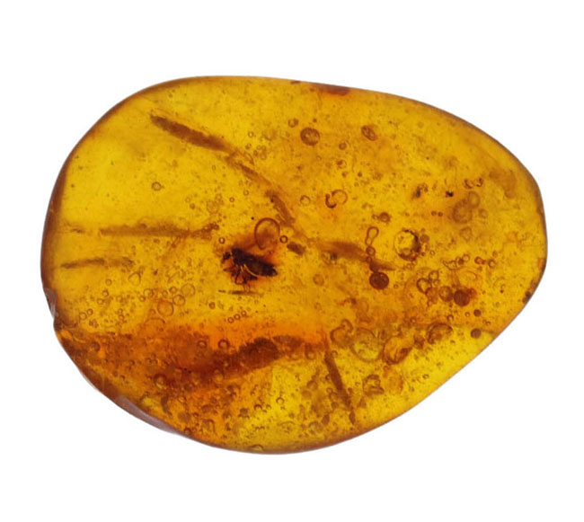 およそ3000万年前の古代の羽虫を内包した内包したドミニカ産琥珀(Amber)(その1)