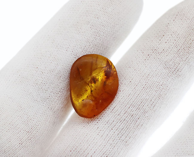 およそ3000万年前の古代の羽虫を内包した内包したドミニカ産琥珀(Amber)(その2)