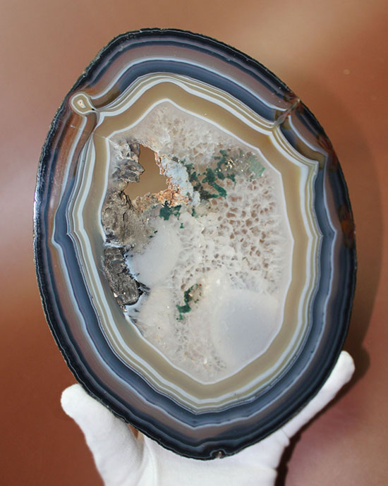 鮮明な縞模様とパステルカラーの組み合わせが絶妙！２０センチオーバーのメノウスライス標本（Agate）（その3）