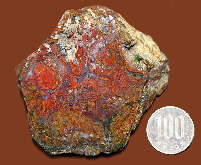 珍しい!ストロマトライトを含むハンガリ産の朱いメノウ(Agate)(その11)