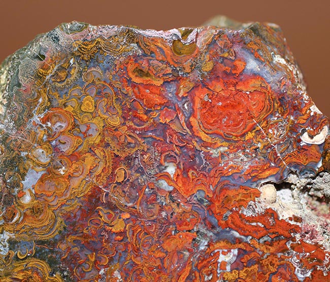 珍しい!ストロマトライトを含むハンガリ産の朱いメノウ(Agate)(その2)
