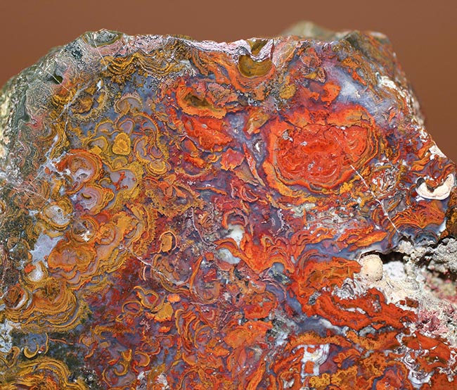 珍しい！ストロマトライトを含むハンガリ産の朱いメノウ（Agate）（その2）