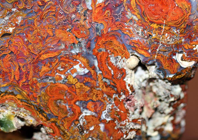 珍しい!ストロマトライトを含むハンガリ産の朱いメノウ(Agate)(その4)