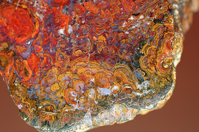 珍しい!ストロマトライトを含むハンガリ産の朱いメノウ(Agate)(その5)