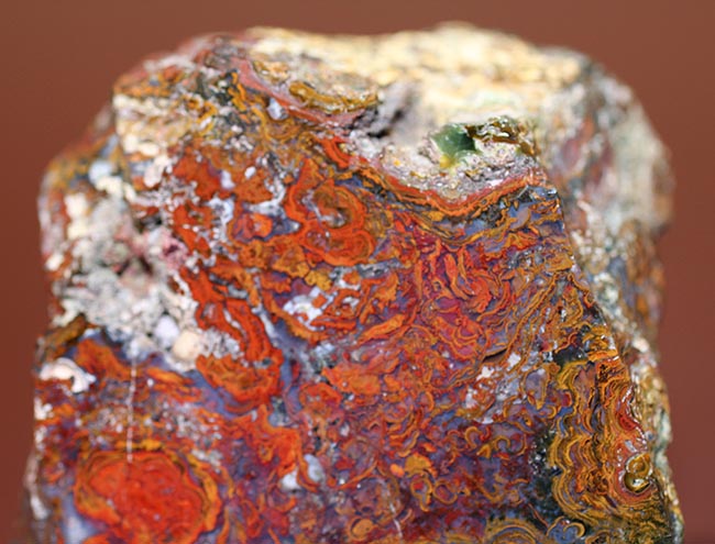 珍しい!ストロマトライトを含むハンガリ産の朱いメノウ(Agate)(その6)