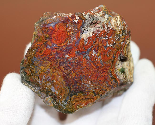 珍しい!ストロマトライトを含むハンガリ産の朱いメノウ(Agate)(その7)