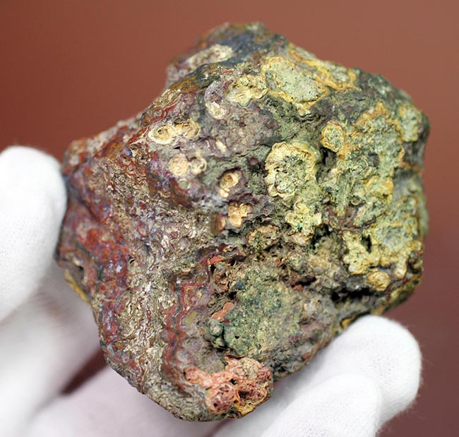 珍しい!ストロマトライトを含むハンガリ産の朱いメノウ(Agate)(その8)