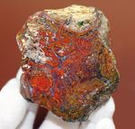 珍しい！ストロマトライトを含むハンガリ産の朱いメノウ（Agate）