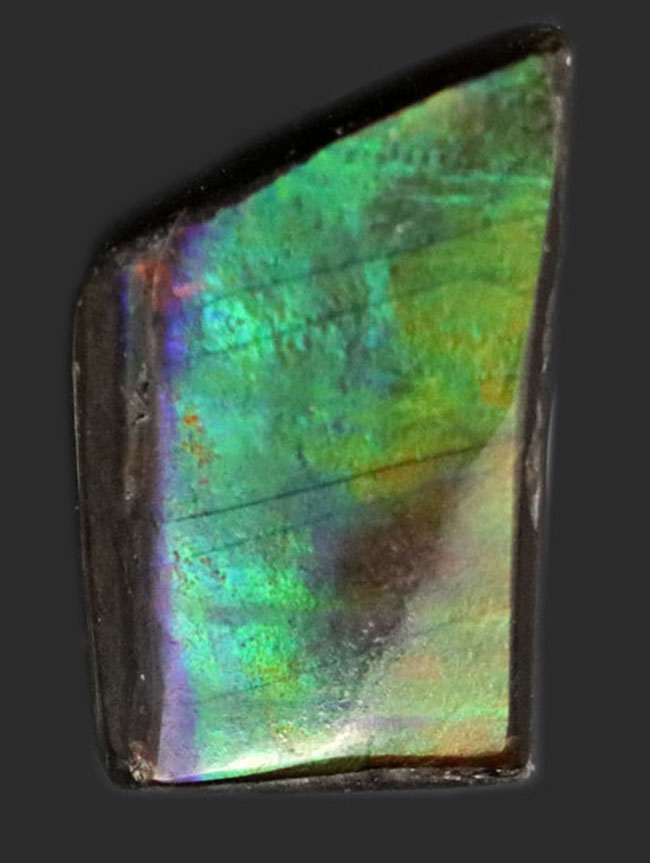 希少色のブルーと紫にご注目!生物起源の宝石として名高い、アンモライトを使った(Ammolite)ピンブローチ(その1)