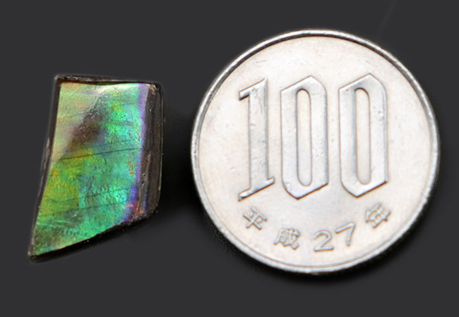 希少色のブルーと紫にご注目!生物起源の宝石として名高い、アンモライトを使った(Ammolite)ピンブローチ(その6)