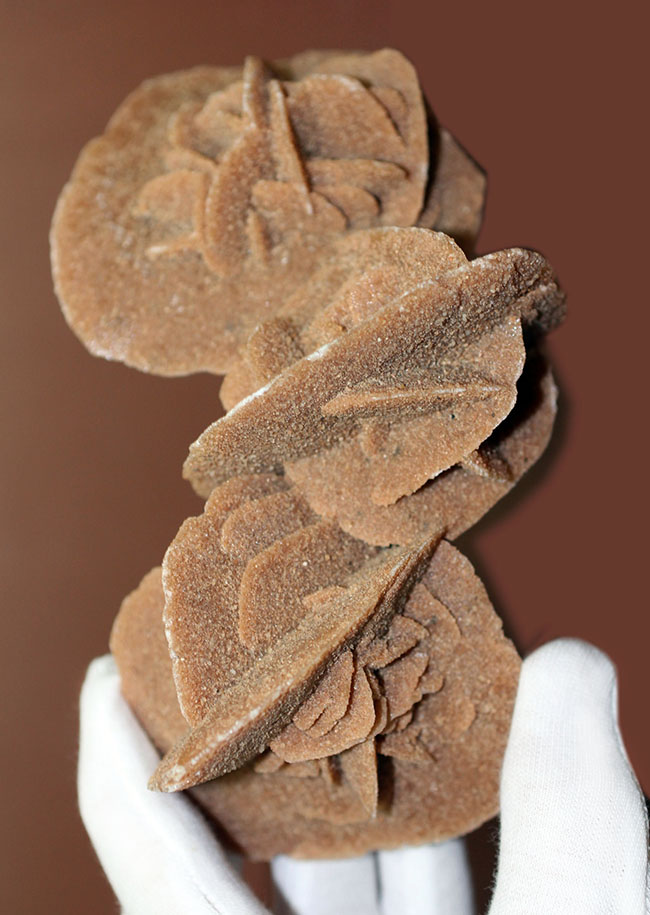 かたちの良さがご自慢!大きな結晶体、モロッコ産の砂漠のバラ。(Desert rose)(その1)