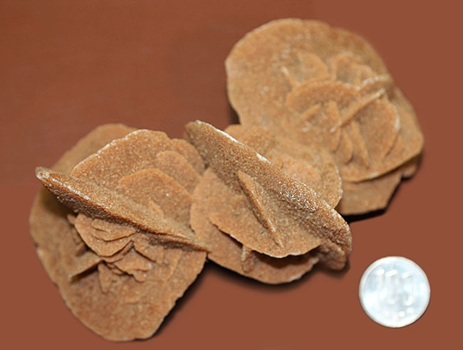 かたちの良さがご自慢!大きな結晶体、モロッコ産の砂漠のバラ。(Desert rose)(その10)