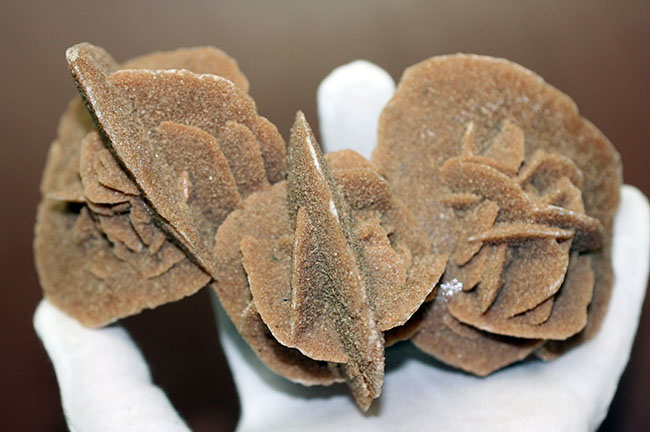 かたちの良さがご自慢!大きな結晶体、モロッコ産の砂漠のバラ。(Desert rose)(その5)