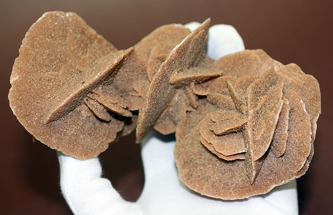 かたちの良さがご自慢!大きな結晶体、モロッコ産の砂漠のバラ。(Desert rose)(その6)