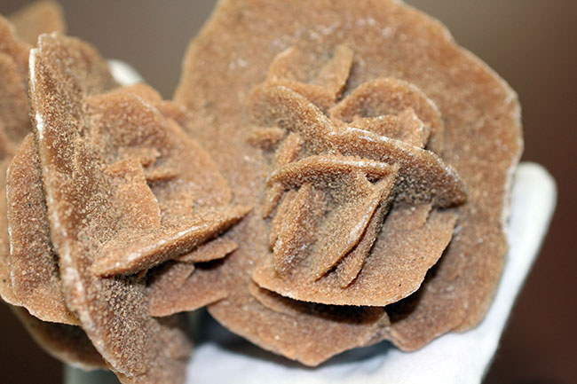 モロッコ デザートローズ モロッコ産]砂漠のバラ（デザートローズ） - 埼玉県吉川市の