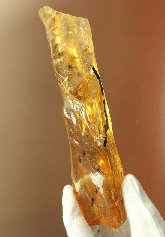 巨大！20cm弱！肉眼で見える！１００万年前の虫が内包されたマダガスカル産虫入りコーパル（その1）