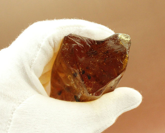 巨大!20cm弱!肉眼で見える!100万年前の虫が内包されたマダガスカル産虫入りコーパル(その11)