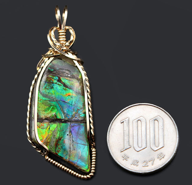 希少色ブルーを呈するアンモライト(Ammolite)を使ったペンダントトップ。金具は厚い14金が圧着されています(14金ゴールドフィル)。チェーン、革紐、ジュエリーケース付き。(その10)