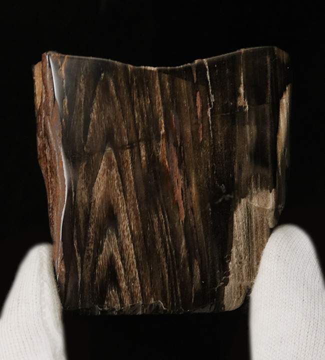 両面ポリッシュ!木目がしっかりと残された、シックな色合いが特徴の珪化木(Petrified Wood)(その1)