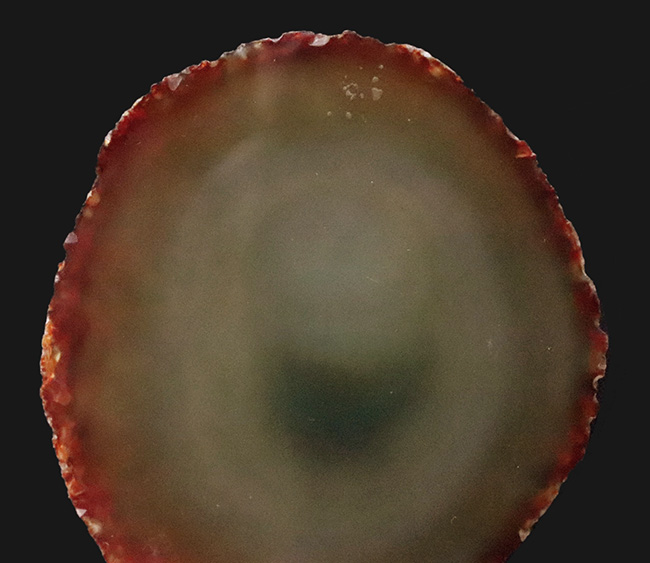 ブラジル・リオグランデ・ド・スル州産、深緑の層理が美しい瑪瑙（メノウ）スライス標本（その2）