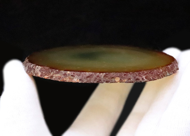 ブラジル・リオグランデ・ド・スル州産、深緑の層理が美しい瑪瑙（メノウ）スライス標本（その4）