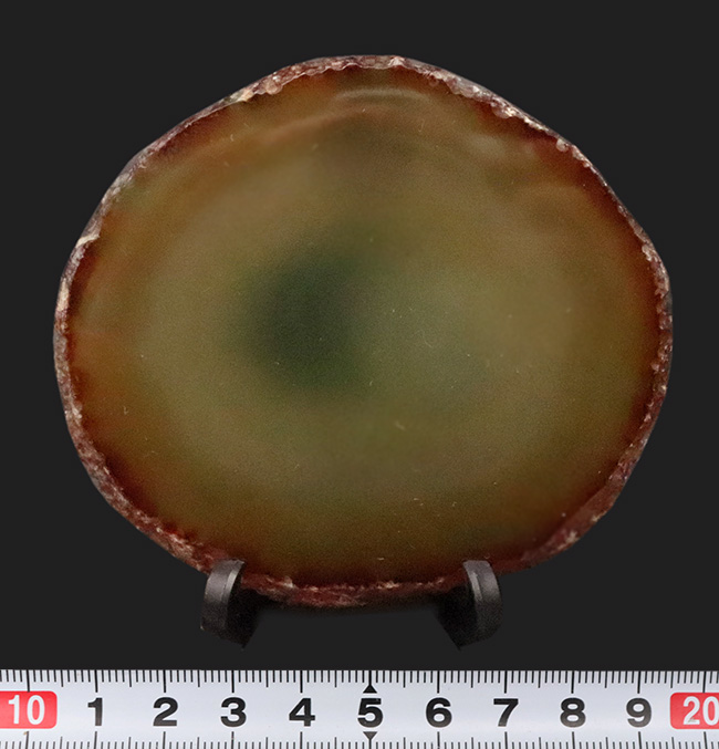 ブラジル・リオグランデ・ド・スル州産、深緑の層理が美しい瑪瑙（メノウ）スライス標本（その5）