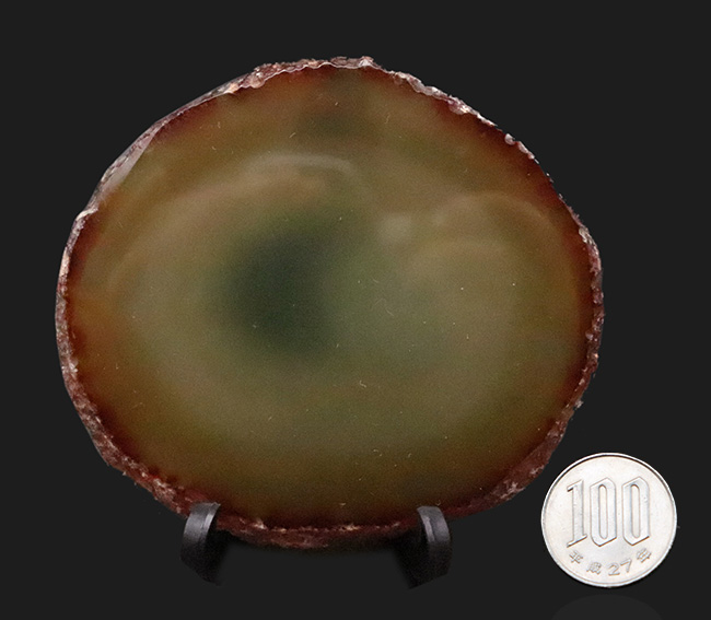 ブラジル・リオグランデ・ド・スル州産、深緑の層理が美しい瑪瑙（メノウ）スライス標本（その6）