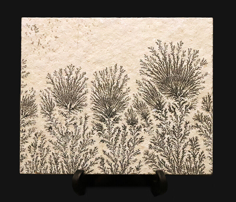 地球と水による1点物の「天然水墨画」ドイツ・ゾルンホーフェンのリトグラフ原石に刻まれたデンドライト（Dendrite）（その1）