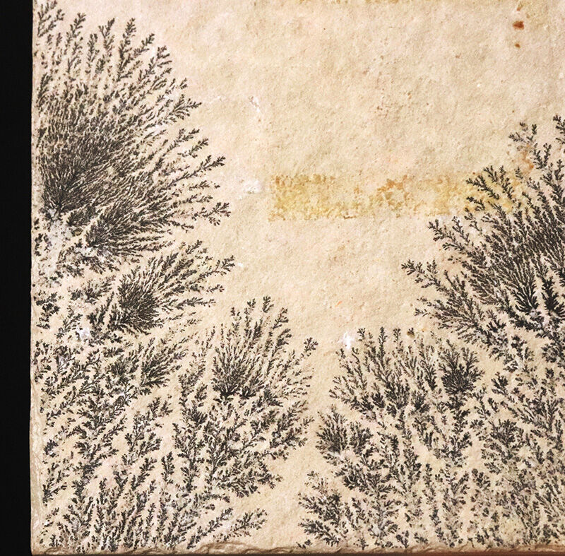 地球と水による1点物の「天然水墨画」ドイツ・ゾルンホーフェンのリトグラフ原石に刻まれたデンドライト（Dendrite）（その7）