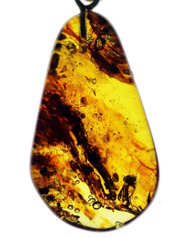 最古の宝石の一つ！バルト海産の虫入り琥珀（Amber）ペンダントトップ（シルバーチェーン、高級ジュエリーケース付き。）（その2）