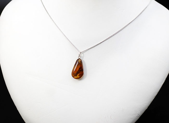 最古の宝石の一つ！バルト海産の虫入り琥珀（Amber）ペンダントトップ（シルバーチェーン、高級ジュエリーケース付き。）（その3）