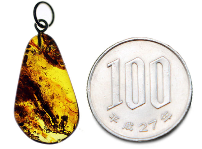 最古の宝石の一つ！バルト海産の虫入り琥珀（Amber）ペンダントトップ（シルバーチェーン、高級ジュエリーケース付き。）（その9）