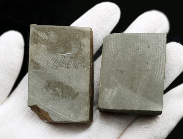 二片一組、珍しいイギリス（ウェールズ）産の三葉虫、オギギヌス