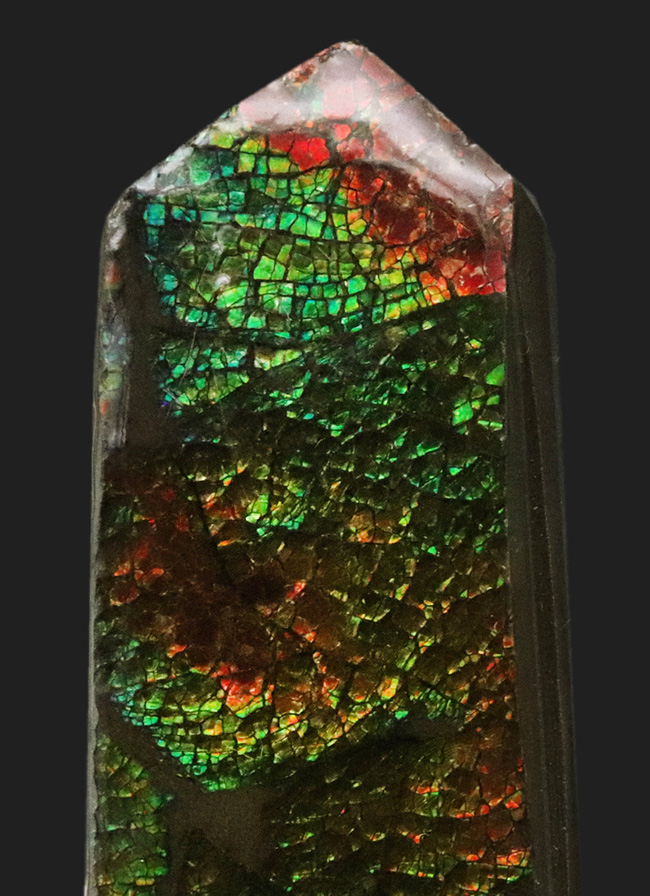 グリーンとオレンジを楽しめる、カナダ・アルバータ州で採集された宝石、アンモライト（Ammolite）のピース（その1）