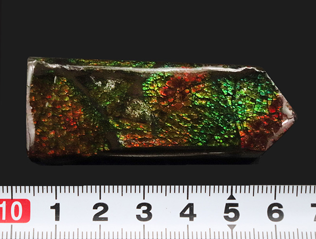 グリーンとオレンジを楽しめる、カナダ・アルバータ州で採集された宝石、アンモライト（Ammolite）のピース（その10）