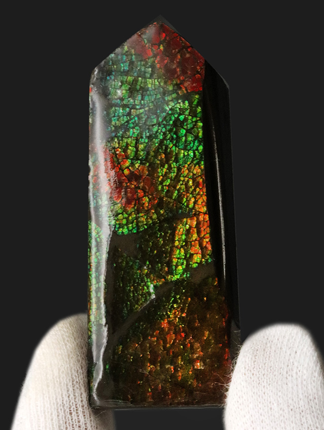 グリーンとオレンジを楽しめる、カナダ・アルバータ州で採集された宝石、アンモライト（Ammolite）のピース（その2）