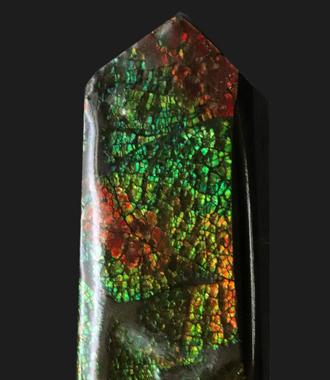 グリーンとオレンジを楽しめる、カナダ・アルバータ州で採集された宝石、アンモライト（Ammolite）のピース（その6）