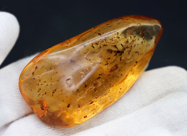 100万年前の世界を包み込んだマダガスカル産のコーパル(Copal)。羽虫、クモ・・・数え切れないほど夥しい数の虫が内包されています(その3)