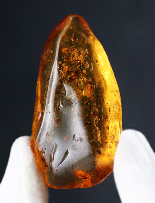 100万年前の世界を包み込んだマダガスカル産のコーパル(Copal)。羽虫、クモ・・・数え切れないほど夥しい数の虫が内包されています(その6)