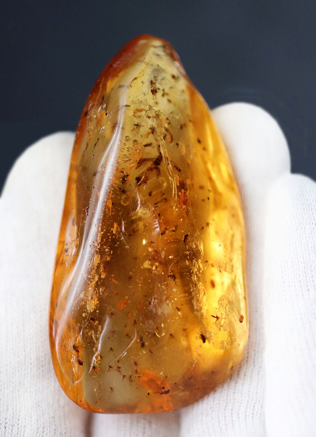 100万年前の世界を包み込んだマダガスカル産のコーパル(Copal)。羽虫、クモ・・・数え切れないほど夥しい数の虫が内包されています(その7)