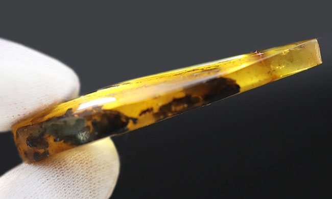 ブルーアース!46ミリに達する立派なバルト海産琥珀(Amber)(その10)
