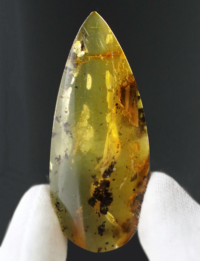 ブルーアース!46ミリに達する立派なバルト海産琥珀(Amber)(その11)
