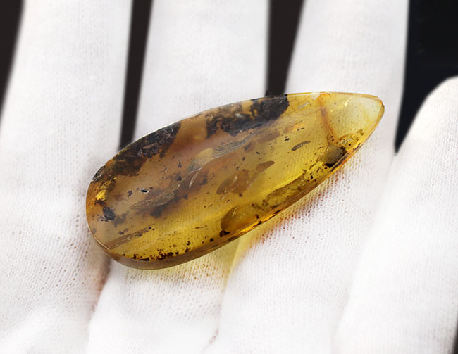 ブルーアース!46ミリに達する立派なバルト海産琥珀(Amber)(その4)