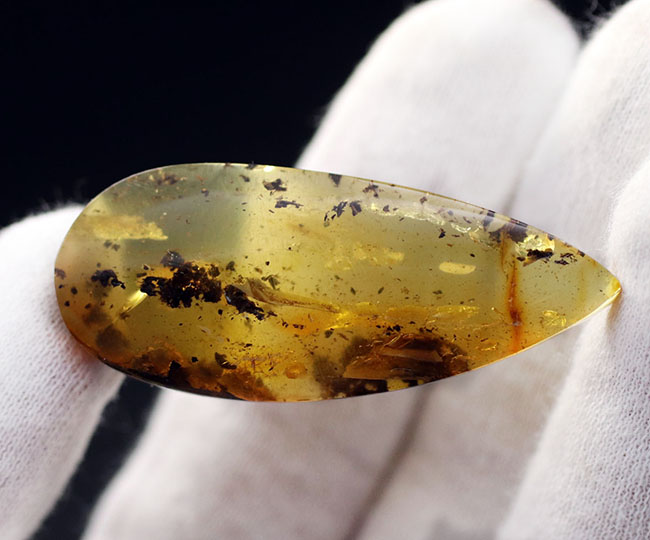 ブルーアース!46ミリに達する立派なバルト海産琥珀(Amber)(その5)