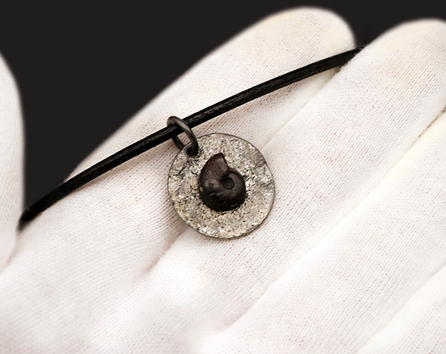 モロッコ産のアンモナイト（Ammonite）を使ったペンダントトップ（革紐付き）（その3）