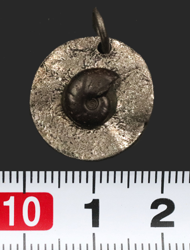モロッコ産のアンモナイト（Ammonite）を使ったペンダントトップ（革紐付き）（その5）