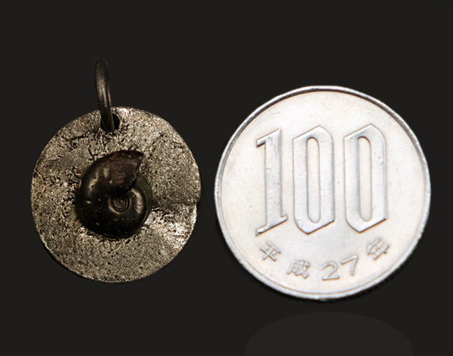 モロッコ産のアンモナイト（Ammonite）を使ったペンダントトップ（革紐付き）（その6）