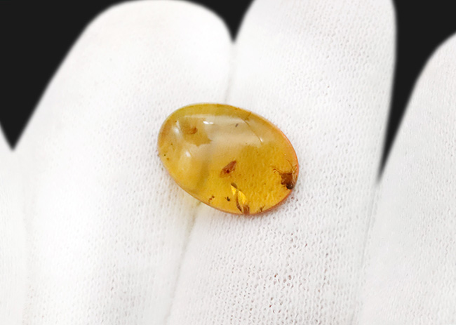 複数の虫を内包した恐竜時代の琥珀、バーマイト（Burmite）。15mmカボション（その8）