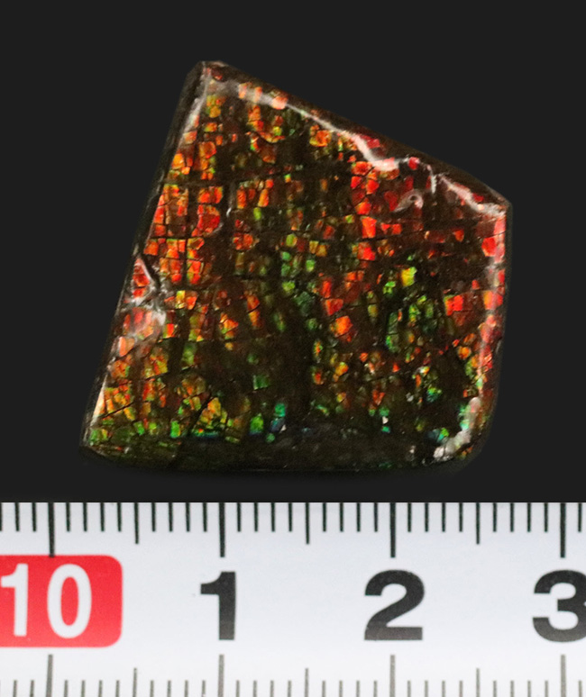 小型ながら素晴らしい輝き！ドラゴンスキン！カナダ・アルバータ州産の宝石、アンモライト（Ammolite）（その6）